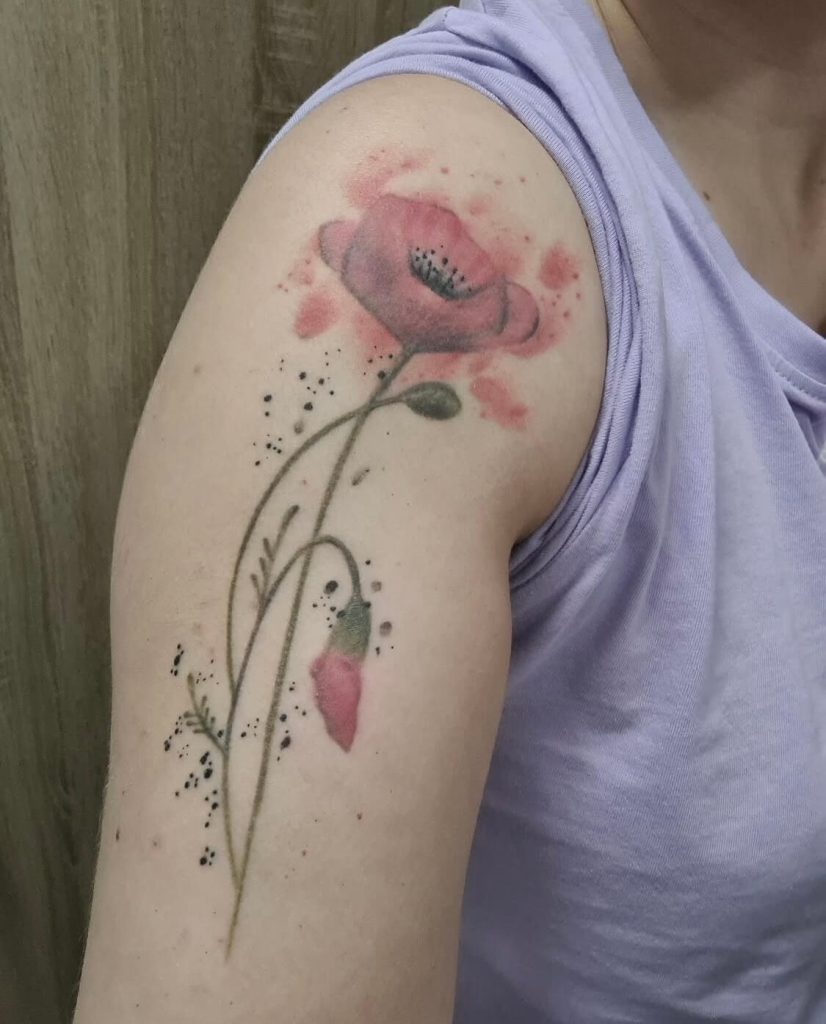 Cover Up vlčí mak pred